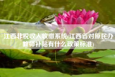 详细阅读:江西非税收入收缴系统(江西省对原民办教师补贴有什么政策标准) 江西非税收入收缴系统(江西省对原民办教师补贴有什么政策标准)