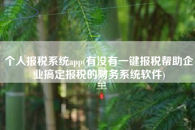 详细阅读:个人报税系统app(有没有一键报税帮助企业搞定报税的财务系统软件) 个人报税系统app(有没有一键报税帮助企业搞定报税的财务系统软件)