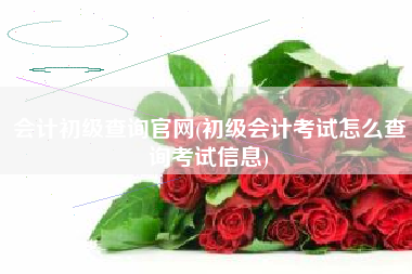 详细阅读:会计初级查询官网(初级会计考试怎么查询考试信息) 会计初级查询官网(初级会计考试怎么查询考试信息)
