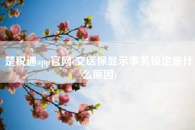 楚税通app官网(交医保显示事务锁定是什么原因)