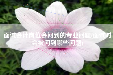 面试会计岗位会问到的专业问题(面试时会被问到哪些问题)