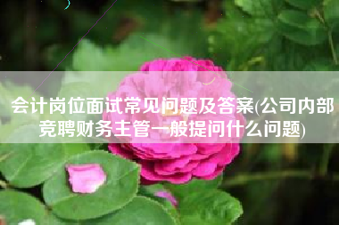 会计岗位面试常见问题及答案(公司内部竞聘财务主管一般提问什么问题)