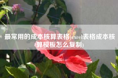 最常用的成本核算表格(excel表格成本核算模板怎么复制)
