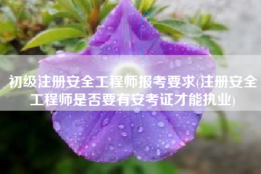 初级注册安全工程师报考要求(注册安全工程师是否要有安考证才能执业)