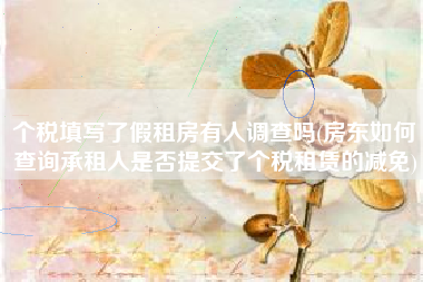 详细阅读:个税填写了假租房有人调查吗(房东如何查询承租人是否提交了个税租赁的减免) 个税填写了假租房有人调查吗(房东如何查询承租人是否提交了个税租赁的减免)