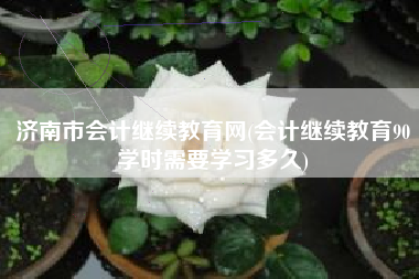 济南市会计继续教育网(会计继续教育90学时需要学习多久)
