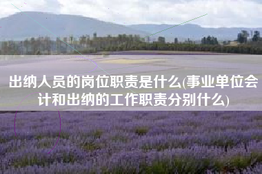 出纳人员的岗位职责是什么(事业单位会计和出纳的工作职责分别什么)