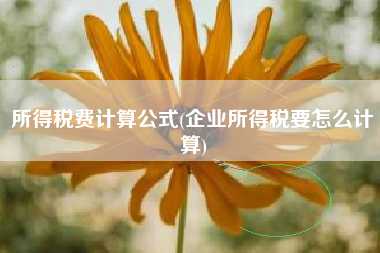所得税费计算公式(企业所得税要怎么计算)