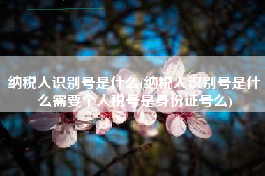 纳税人识别号是什么(纳税人识别号是什么需要个人税号是身份证号么)