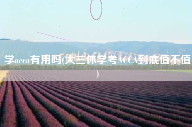 详细阅读:学acca有用吗(大三休学考ACCA到底值不值) 学acca有用吗(大三休学考ACCA到底值不值)