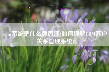 crm系统是什么意思啊(如何理解CRM客户关系管理系统)
