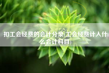 扣工会经费的会计分录(工会经费计入什么会计科目)