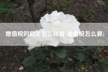 增值税的算法怎么计算(增值税怎么算)