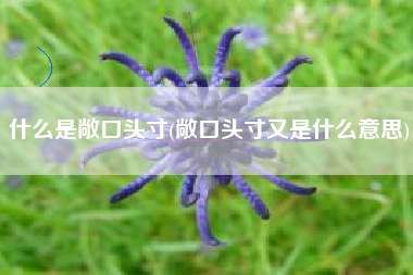 详细阅读:什么是敞口头寸(敞口头寸又是什么意思) 什么是敞口头寸(敞口头寸又是什么意思)