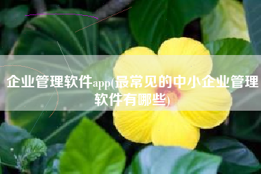 企业管理软件app(最常见的中小企业管理软件有哪些)