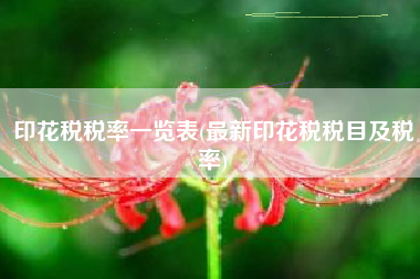 印花税税率一览表(最新印花税税目及税率)