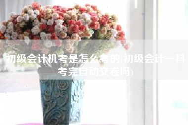 详细阅读:初级会计机考是怎么考的(初级会计一科考完自动交卷吗) 初级会计机考是怎么考的(初级会计一科考完自动交卷吗)