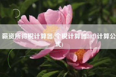 薪资所得税计算器(个税计算器2021计算公式)