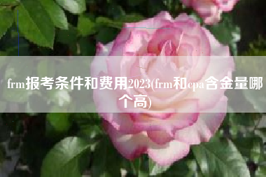 frm报考条件和费用2023(frm和cpa含金量哪个高)