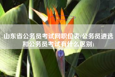 山东省公务员考试网职位表(公务员遴选和公务员考试有什么区别)