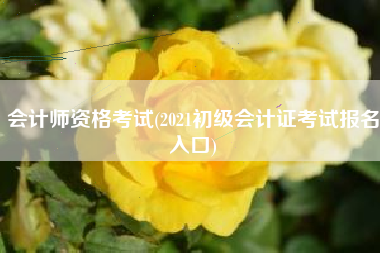 会计师资格考试(2021初级会计证考试报名入口)