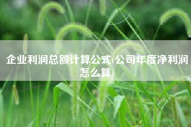 企业利润总额计算公式(公司年度净利润怎么算)