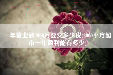 详细阅读:一年营业额2000万要交多少税(2000平方超市一年盈利能有多少) 一年营业额2000万要交多少税(2000平方超市一年盈利能有多少)