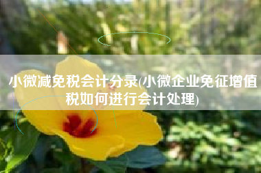 小微减免税会计分录(小微企业免征增值税如何进行会计处理)