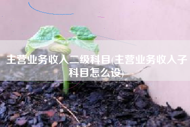 主营业务收入二级科目(主营业务收入子科目怎么设)