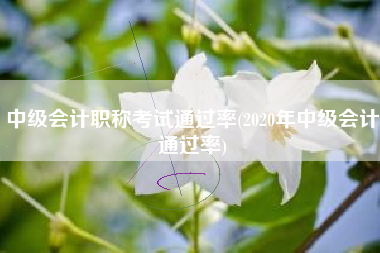 中级会计职称考试通过率(2020年中级会计通过率)