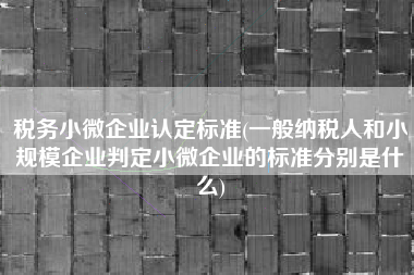税务小微企业认定标准(一般纳税人和小规模企业判定小微企业的标准分别是什么)