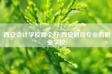 西安会计学校哪个好(西安财经专业的职业学校)