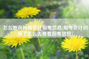 怎么查询初级会计报考信息(报考会计初级了怎么去查看报考信息)