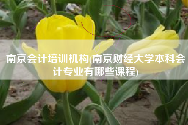 南京会计培训机构(南京财经大学本科会计专业有哪些课程)