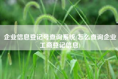 企业信息登记号查询系统(怎么查询企业工商登记信息)