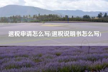 退税申请怎么写(退税说明书怎么写)