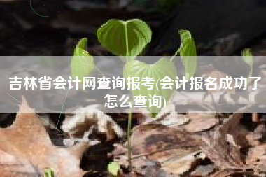 吉林省会计网查询报考(会计报名成功了怎么查询)