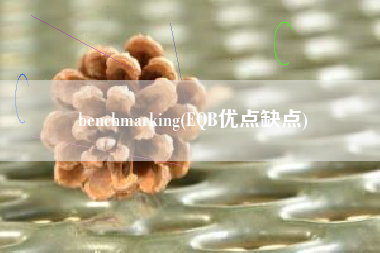 详细阅读:benchmarking(EQB优点缺点) benchmarking(EQB优点缺点)