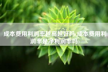 详细阅读:成本费用利润率越高越好吗(成本费用利润率是净利润率吗) 成本费用利润率越高越好吗(成本费用利润率是净利润率吗)