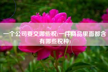 详细阅读:一个公司要交哪些税(一件商品里面都含有哪些税种) 一个公司要交哪些税(一件商品里面都含有哪些税种)