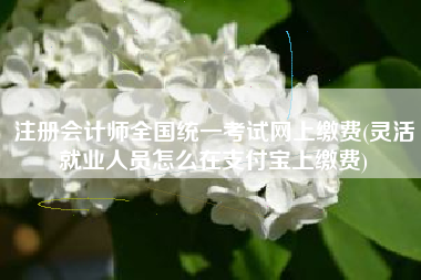 详细阅读:注册会计师全国统一考试网上缴费(灵活就业人员怎么在支付宝上缴费) 注册会计师全国统一考试网上缴费(灵活就业人员怎么在支付宝上缴费)