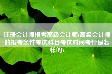 详细阅读:注册会计师报考高级会计师(高级会计师的报考条件考试科目考试时间考评是怎样的) 注册会计师报考高级会计师(高级会计师的报考条件考试科目考试时间考评是怎样的)