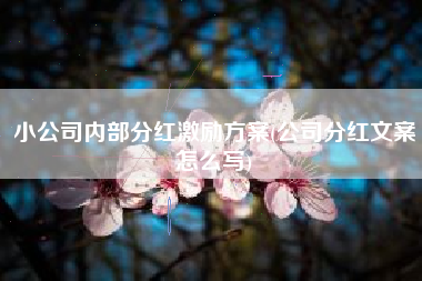 小公司内部分红激励方案(公司分红文案怎么写)