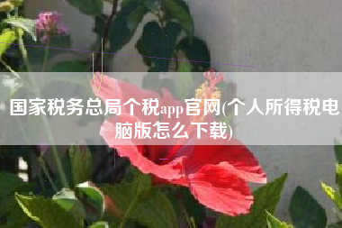 国家税务总局个税app官网(个人所得税电脑版怎么下载)