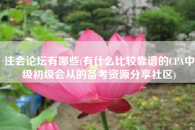 注会论坛有哪些(有什么比较靠谱的CPA中级初级会从的备考资源分享社区)