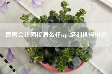 良善会计网校怎么样(cpa培训机构排名)