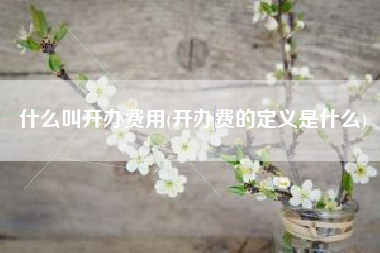 什么叫开办费用(开办费的定义是什么)