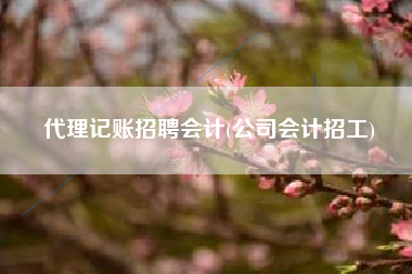 代理记账招聘会计(公司会计招工)