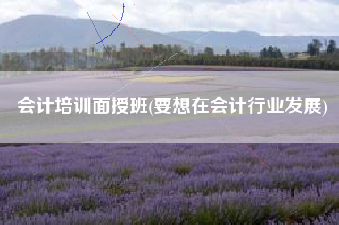 会计培训面授班(要想在会计行业发展)