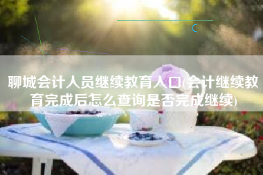 聊城会计人员继续教育入口(会计继续教育完成后怎么查询是否完成继续)